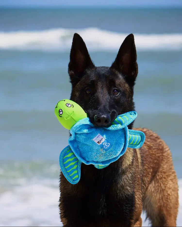 STARFISH DOG TOY - Spunky Pup Clean Earth Recycled Plush 100% Sustainable